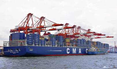 廣州南沙報關(guān)行 專注海運進出口報關(guān)報檢與代理服務的專業(yè)選擇